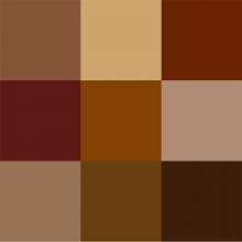 Αποχρώσεις του καφέ