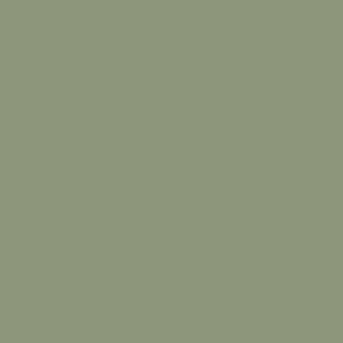 Χρώμα πράσινο της Αγκινάρας